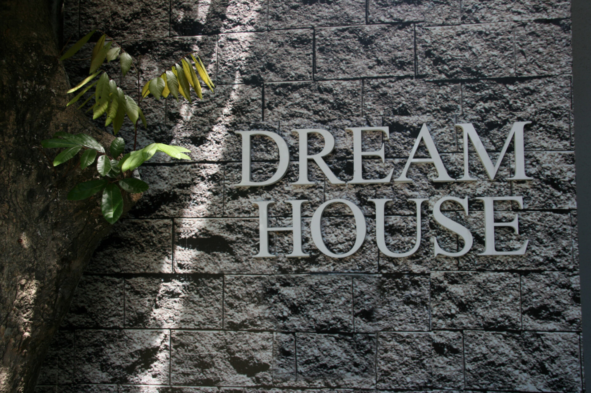 Dh100524 025